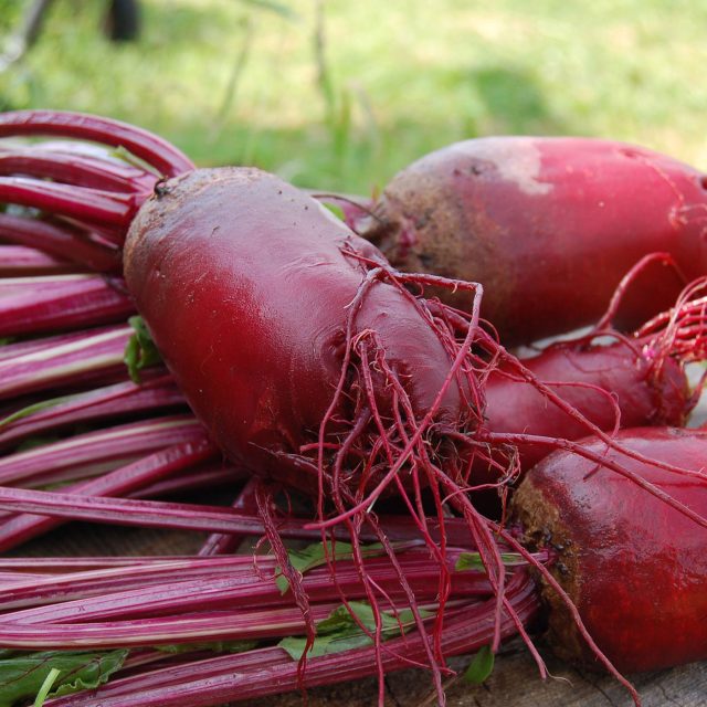 Červená řepa pomáhá snížit krevní tlak,  posiluje srdce a nervový systém | foto: Pixabay,  Licence Pixabay