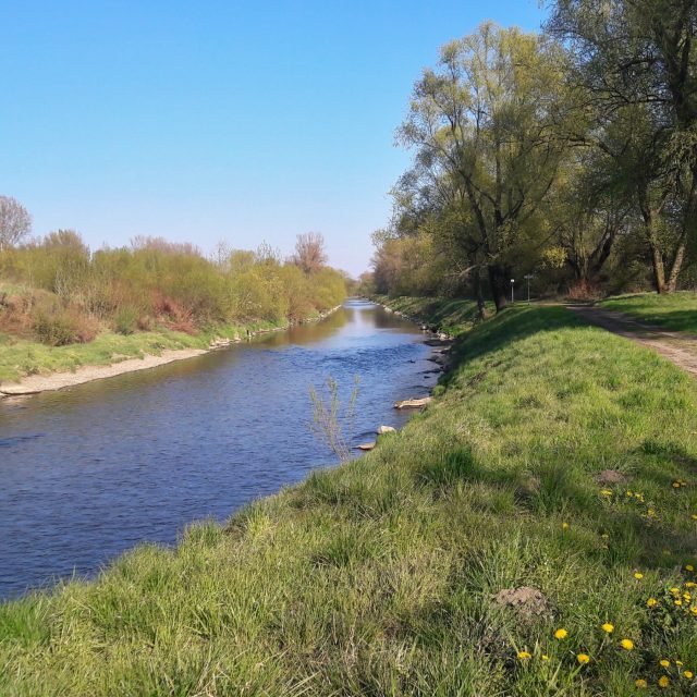 Řeka Olše poblíž Bohumína | foto: František Tichý,  Český rozhlas Ostrava