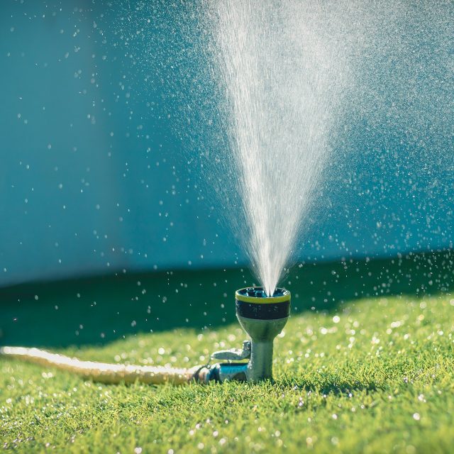 Ilustrační foto | foto: Pixabay