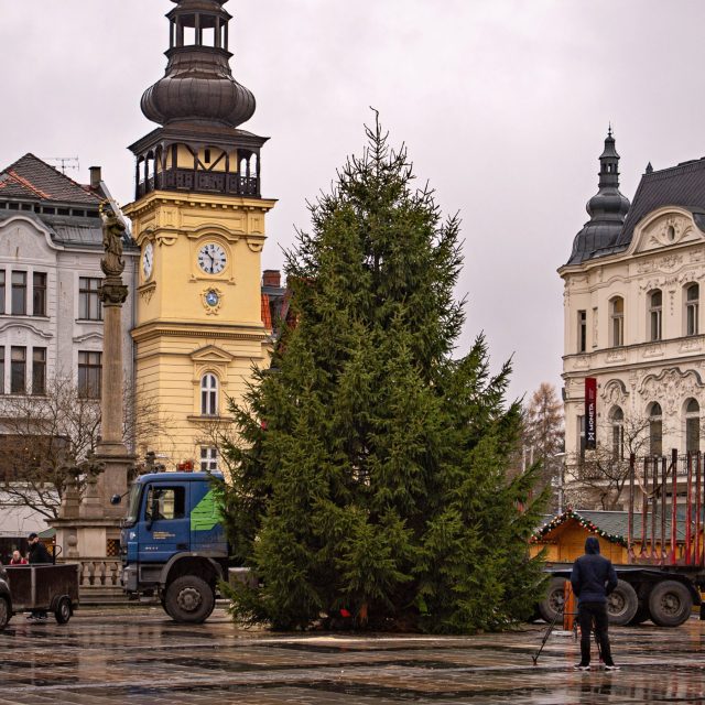 Usazování vánočního stromu v centru Ostravy | foto:  Lukáš Kaboň,  Ostravské Vánoce