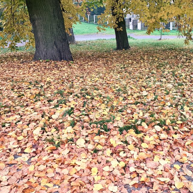 ilustrační foto | foto: Iva Kokešová,  Český rozhlas