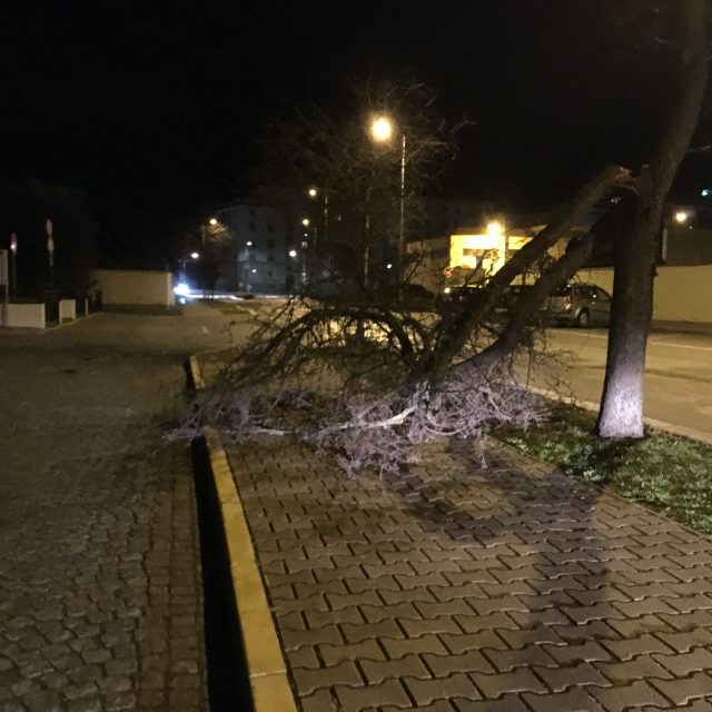 Vítr v Pardubickém kraji lámal větve i stromy | foto: Josef Ženatý,  Český rozhlas,  Český rozhlas