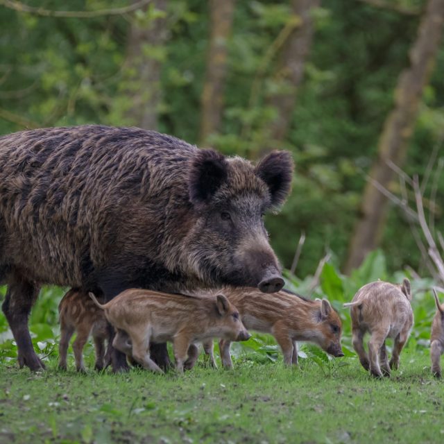Ilustrační foto | foto: Shutterstock