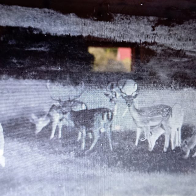 Leoš Janáček v multimediální expozici | foto: Petra Štrymplová,  Český rozhlas