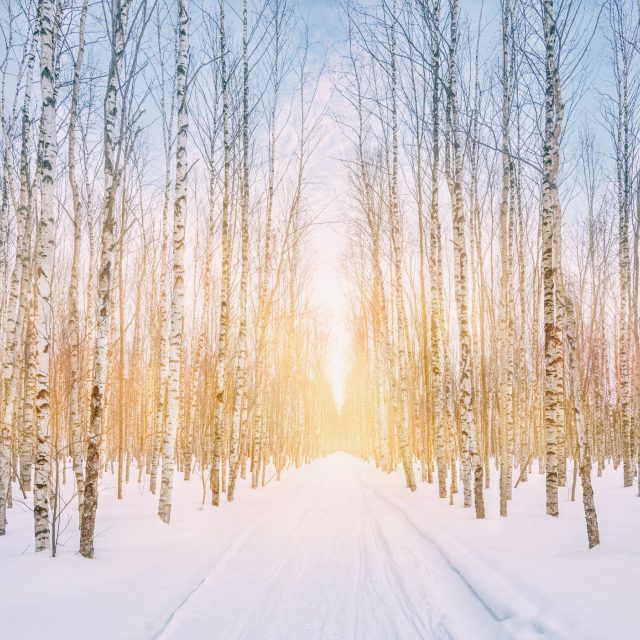 Zima | foto: Shutterstock