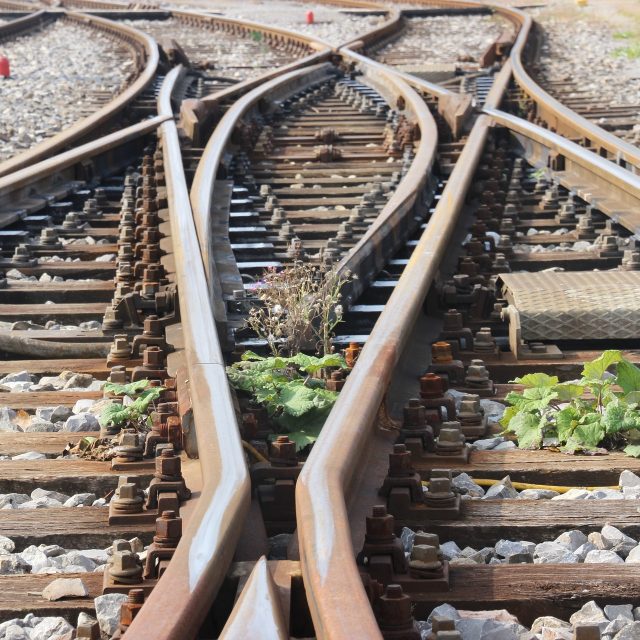 ilustrační foto | foto: Fotobanka Pixabay