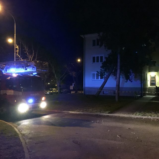 Spadlý strom u bytovky na Dukle v Pardubicích | foto: Josef Ženatý