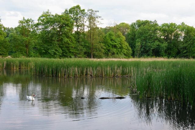 Jeden z mnoha rybníků v Poodří | foto: Michal Polášek