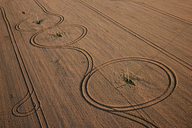 Tyto kruhy v obilí mají jasný původ | foto: Honza Ptáček,  Český rozhlas