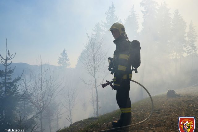 Hasiči u lesního požáru  (foto archiv) | foto: Tomáš Lach
