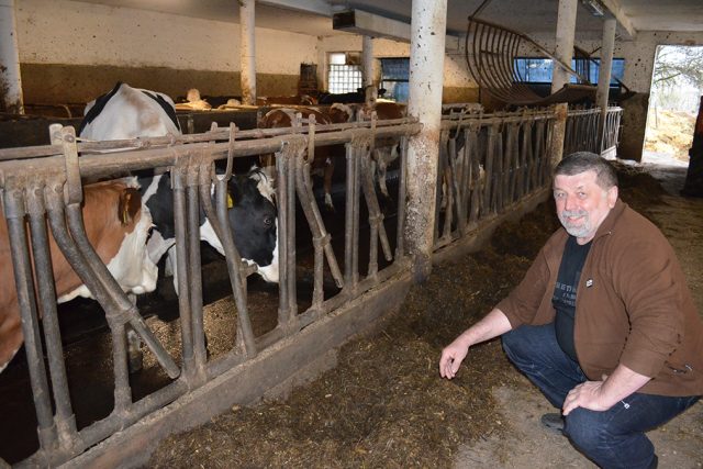 František Němec u krav | foto: Tamara Pecková