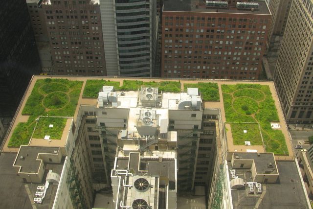 Zelenou střechu má třeba budova radnice v americkém Chicagu. | foto: Creative Commons Attribution-ShareAlike 3.0 Unported