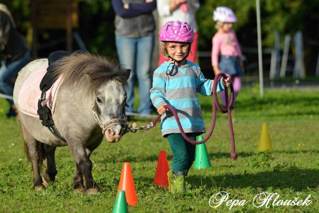 Happy pony na Jarošově statku | foto:  Archiv Jarošova statku