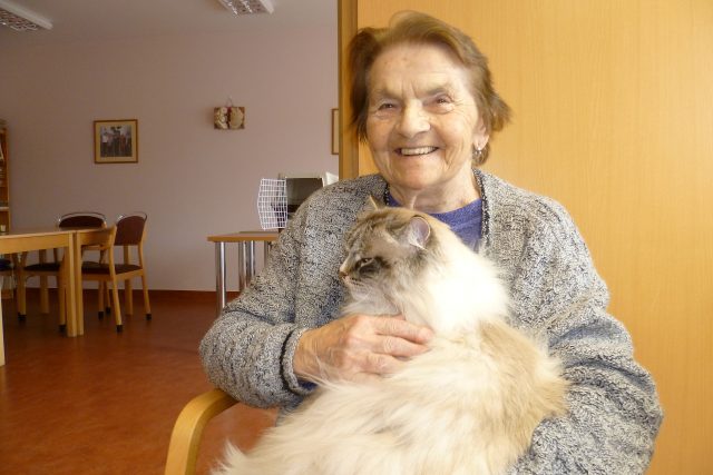 Felinoterapie  (ilustr. foto) | foto: Irena Šarounová,  Český rozhlas