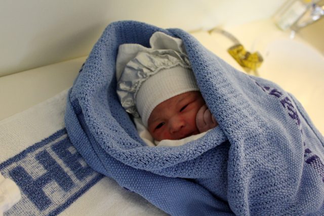 Novorozenec | foto: Harald Groven