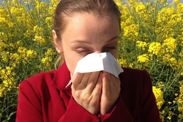 Alergie postihne čím dál víc lidí | foto: Fotobanka Pixabay