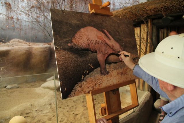 Malého hrabáče do opravdového zvířecího života vyprovodil cestovatel Miloslav Stingl | foto: Jakub Labský