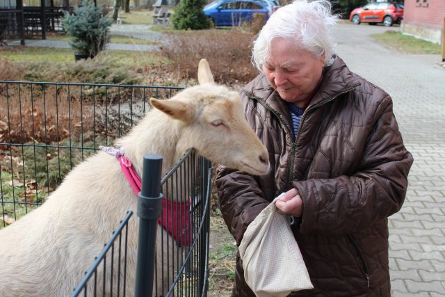 Paní Marie Poláková si kozu Rózu hodně oblíbila | foto: Petra Sasínová