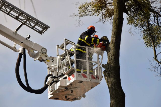 Hasiči kácí strom u novojičínské části Skalky | foto: Michal Polášek