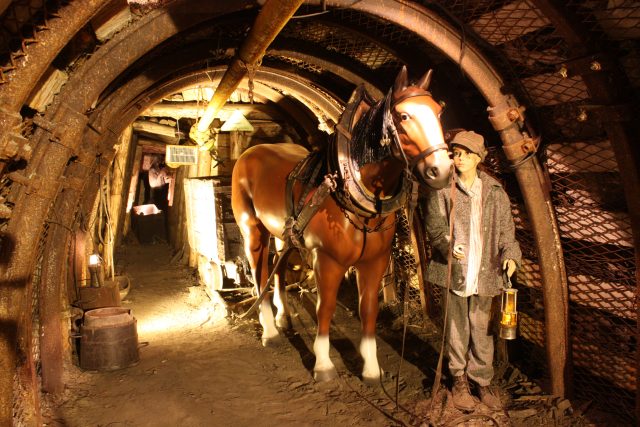 Koník Ferdinand v důlní expozici | foto: Landek Park