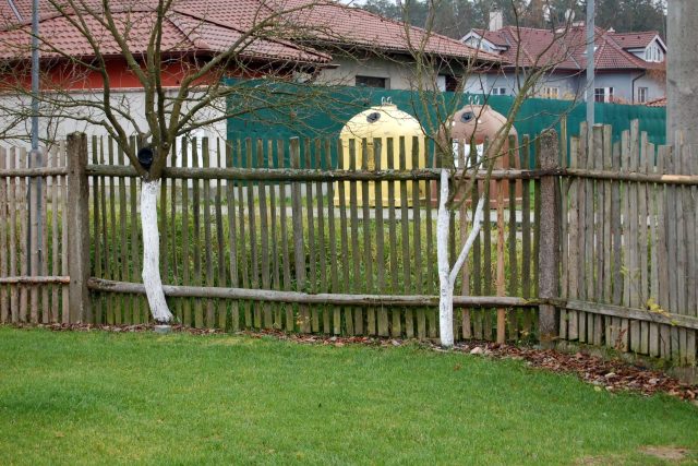 Očištěné kmeny ovocných stromů můžeme nabílit | foto: Ivan Dvořák