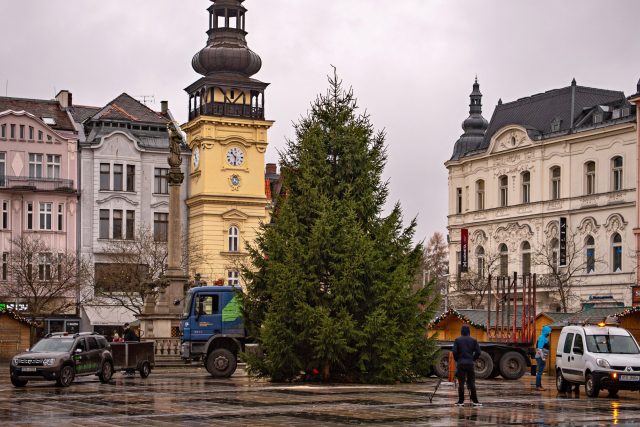 Usazování vánočního stromu v centru Ostravy | foto:  Lukáš Kaboň,  Ostravské Vánoce