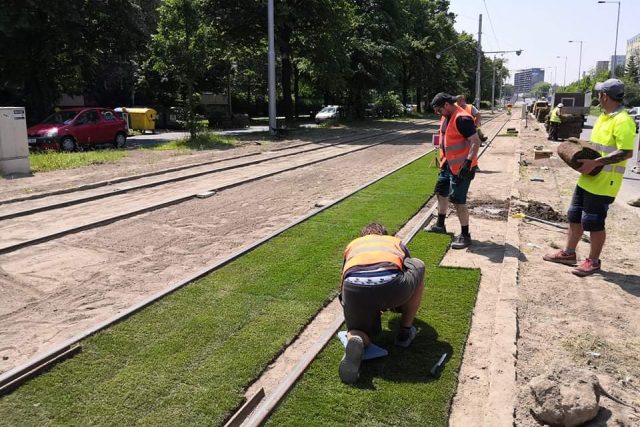 Osazování tramvajového pásu vegetačním krytem z předpěstovaných travních koberců | foto: Dopravní podnik Ostrava