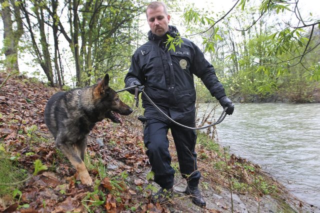 Psovod s policejním psem | foto:  Alexandr Satinský / MAFRA,  Fotobanka Profimedia