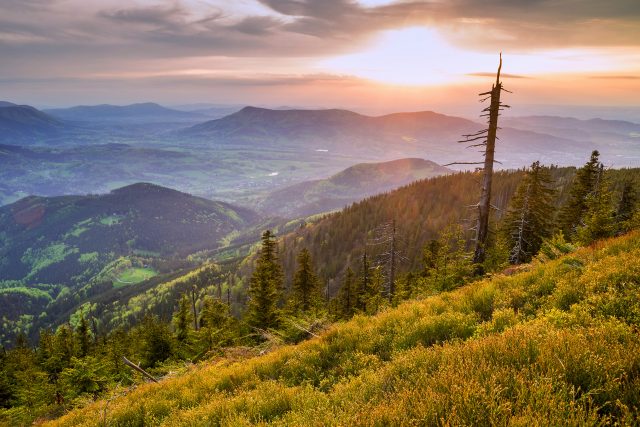 Beskydy | foto: Shutterstock