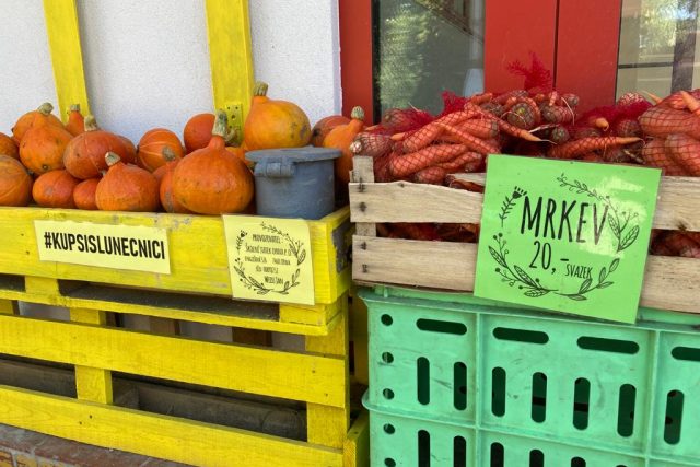 Samoobslužný prodej ovoce a zeleniny na Školním statku v Opavě | foto: Marta Pilařová,  Český rozhlas