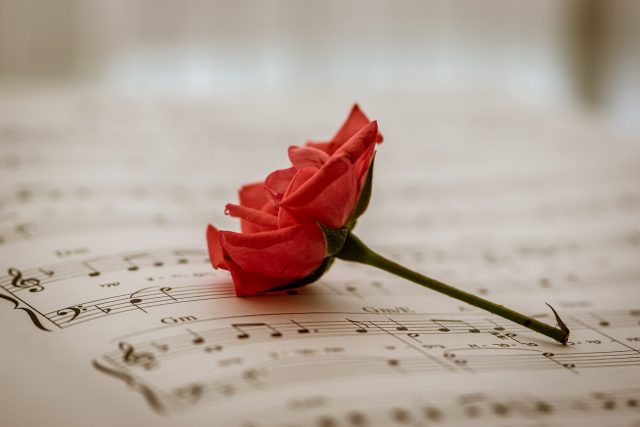 Hudební motiv,  květ,  noty | foto: Fotobanka Pixabay