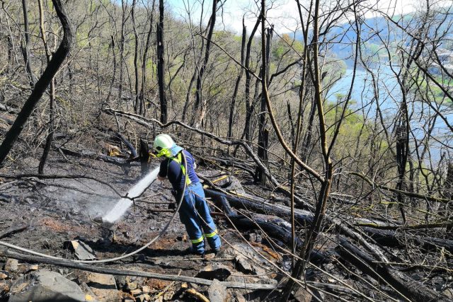 Sobotní dohašování požáru v lese u Libčic nad Vltavou  | foto: HZS Středočeského kraje