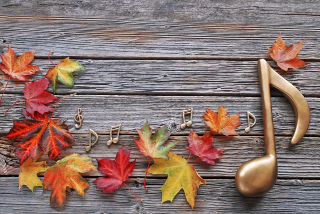 Podzimní hudba | foto: Shutterstock