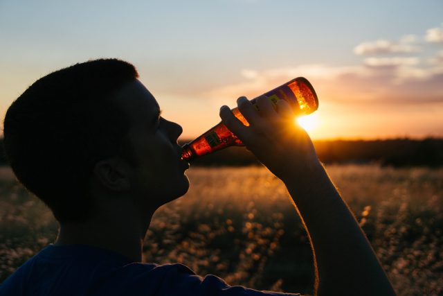 Houbař tvrdil,  že vypil jen pár piv  (ilustr. foto) | foto: StockSnap,  Pixabay,  CC0 1.0