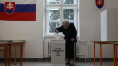 Slováci v druhém kole volí prezidenta